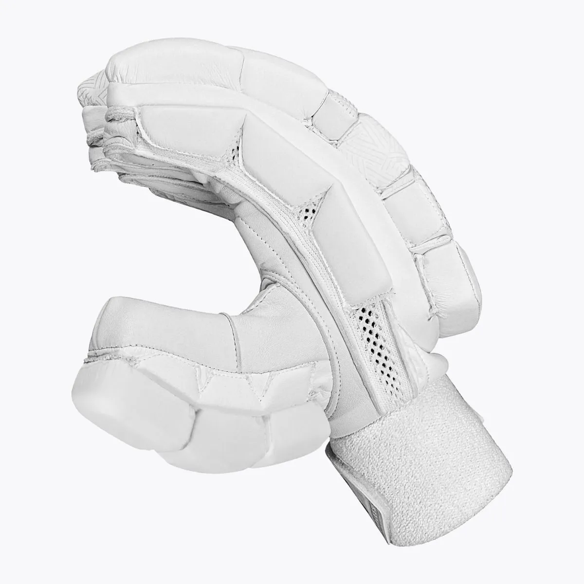DSC Players Cricket Batting Gloves