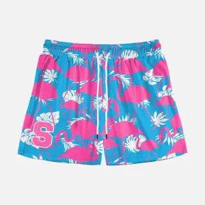 Flamingos Pink Blue Shorts - 5"