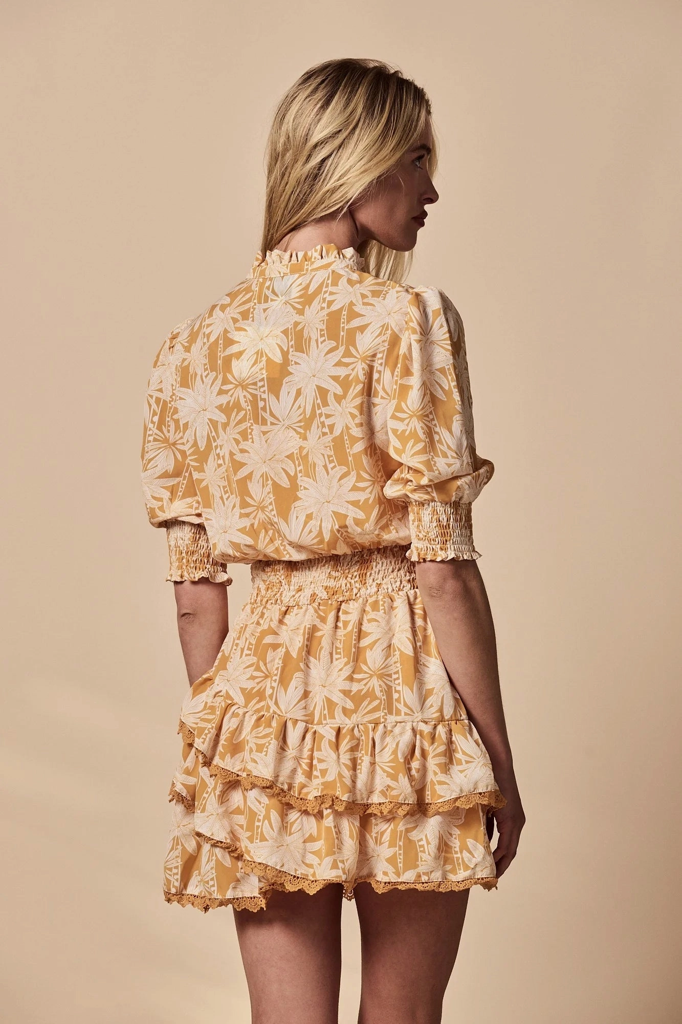The Shirt The Brigitte Dress Delicate Lines
