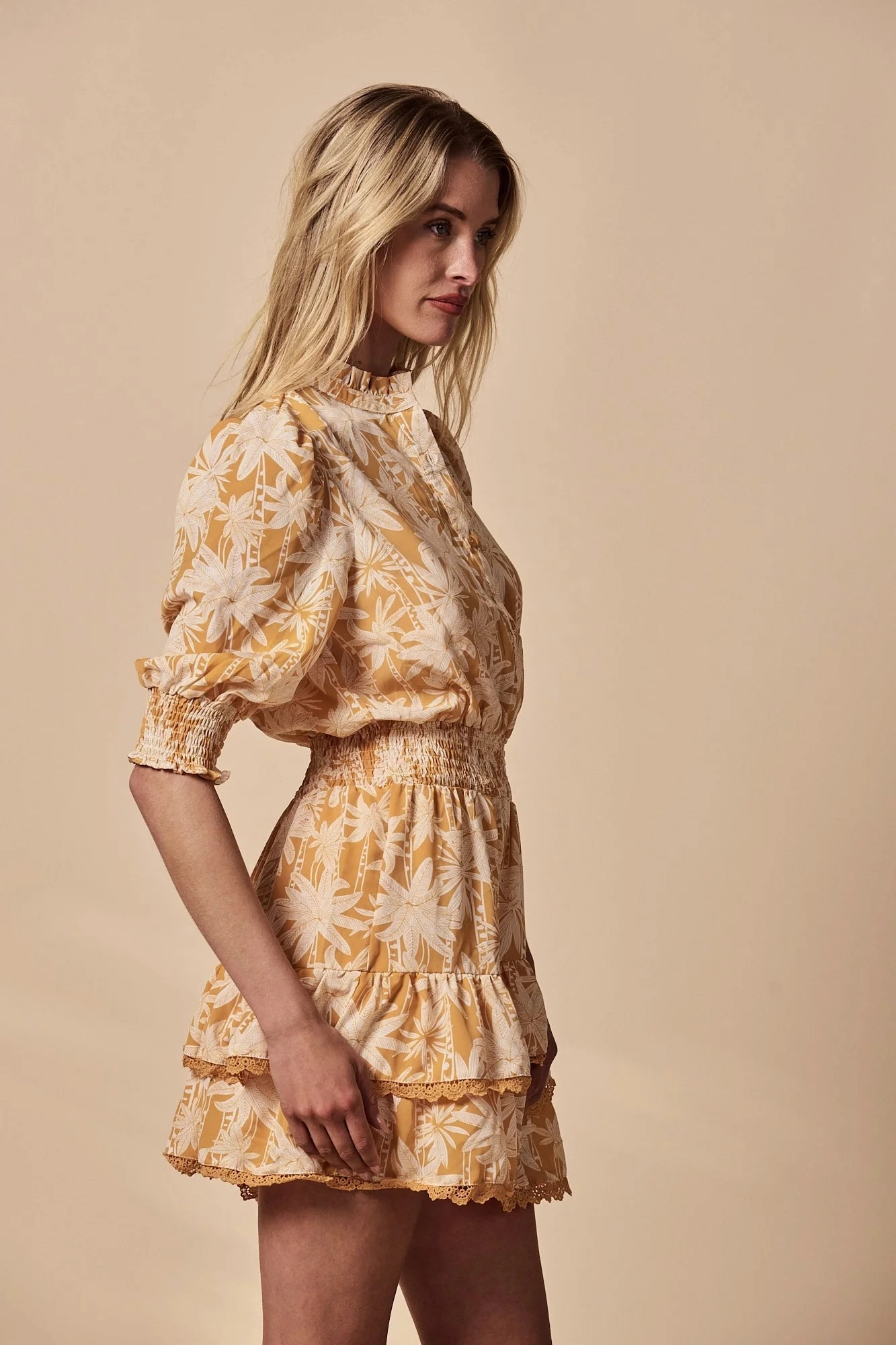 The Shirt The Brigitte Dress Elegant Simplicity