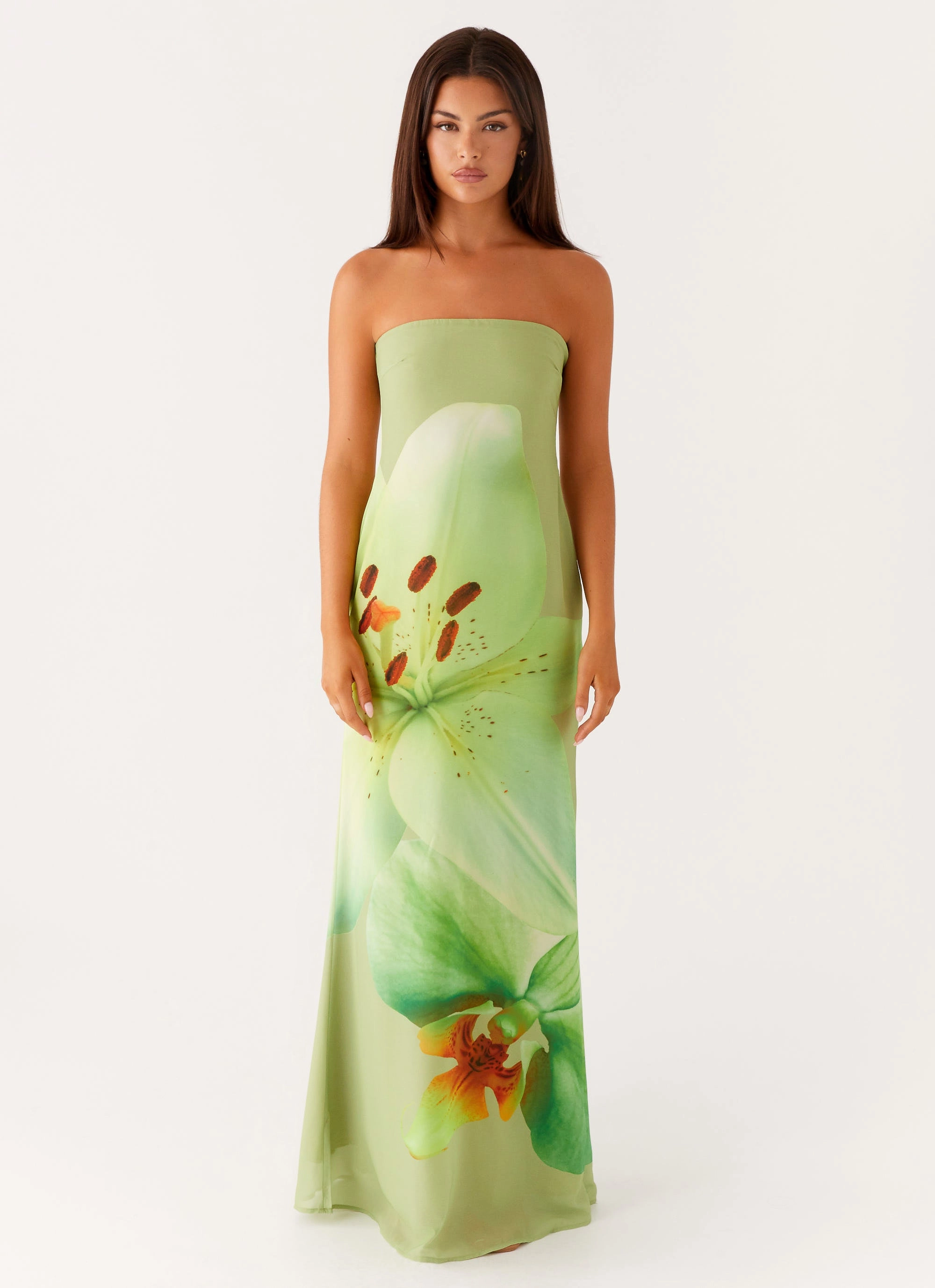 Timeless Touch Darcy Maxi Dress - Green Floral