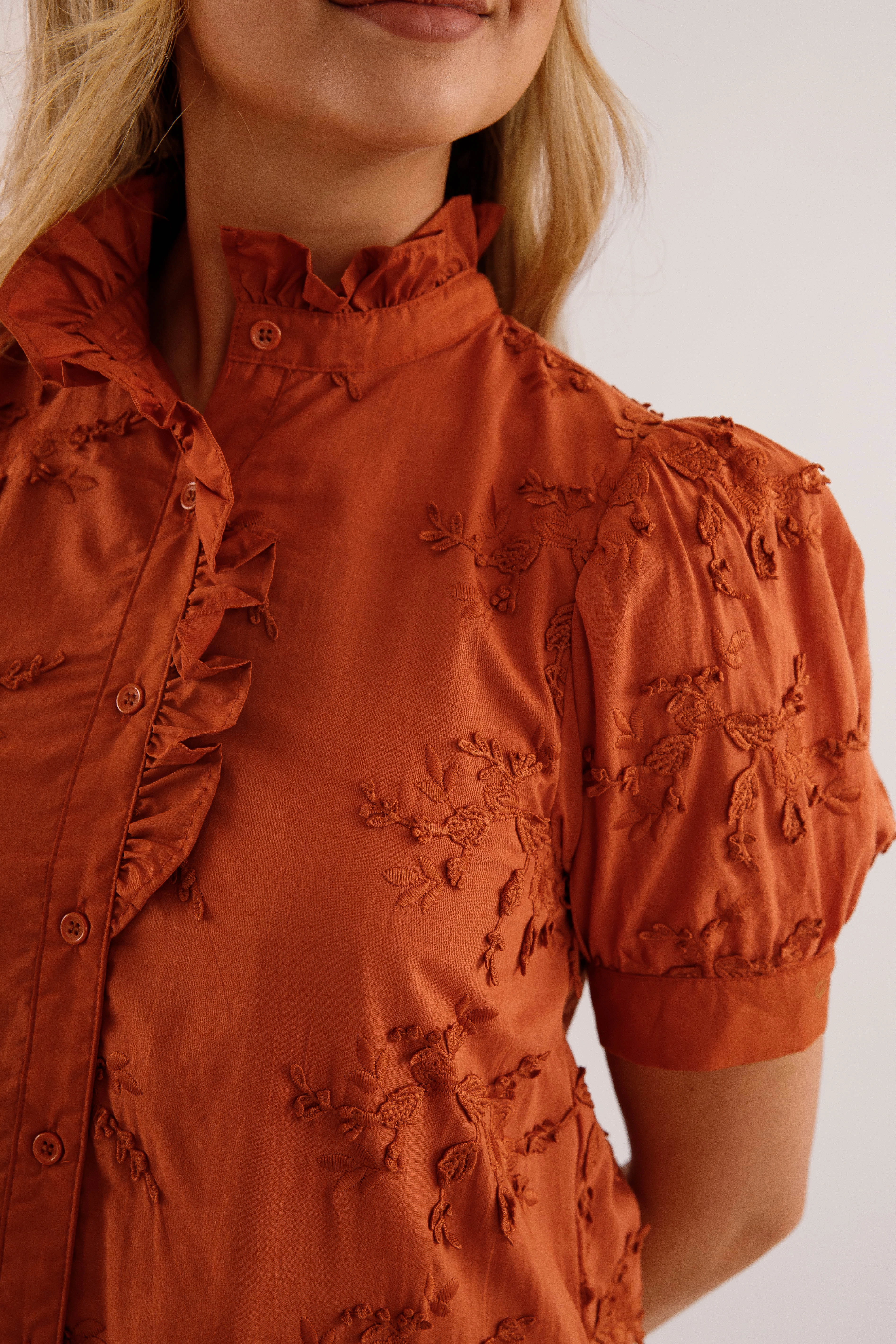 A Nice Introduction Dress-Rust Layer Light