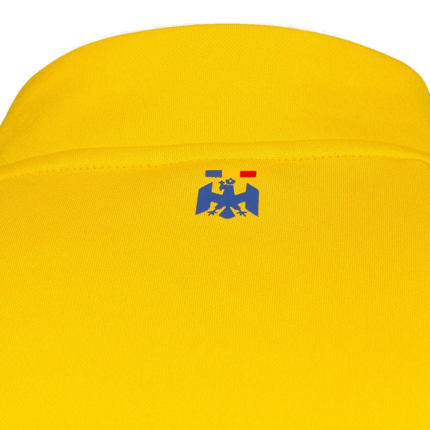 Romania training presentation Soccer tracksuit 2024 - Joma