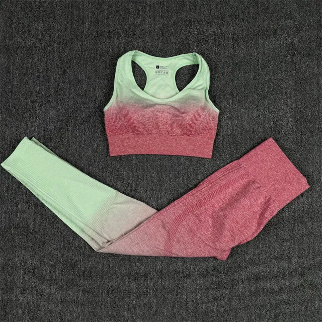 Seamless Watermelon Ombre Padded Sports Bra and Leggings Gym Set