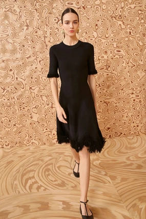 Classic and Chic Ulla Johnson Vittoria Dress