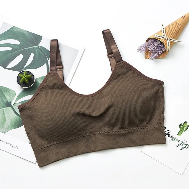 Sports Top Gym Jogging Running Sports Bra