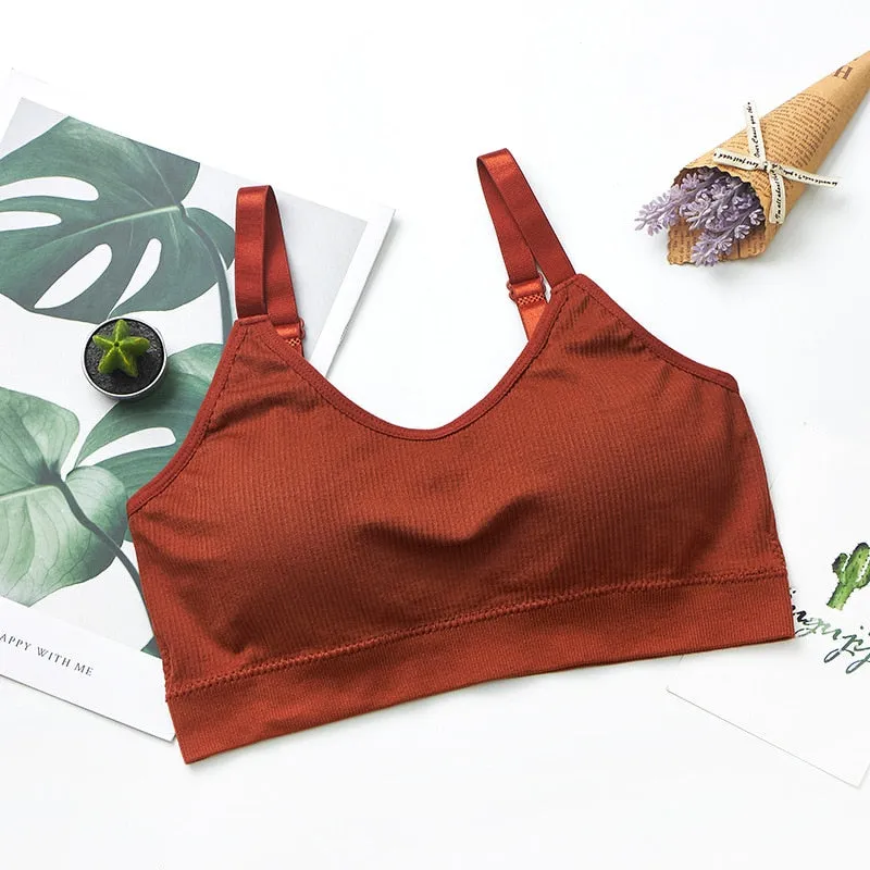 Sports Top Gym Jogging Running Sports Bra