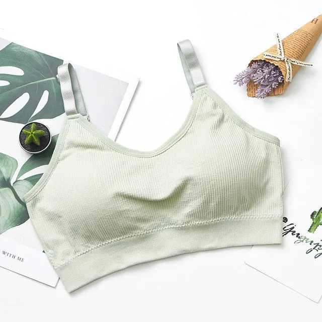 Sports Top Gym Jogging Running Sports Bra