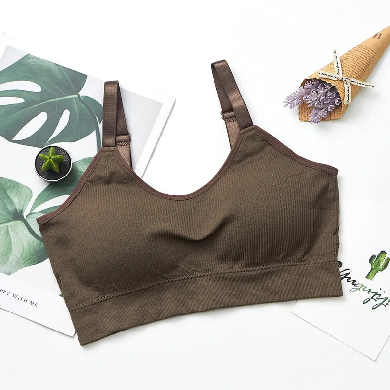 Sports Top Gym Jogging Running Sports Bra