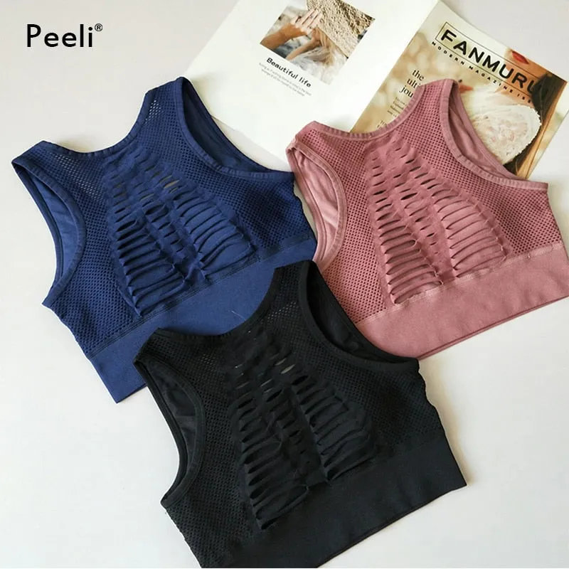 Top Fitness Workout Padded Yoga Bra