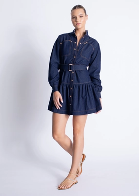 Fall Inspired Saraswati Denim Mini Dress