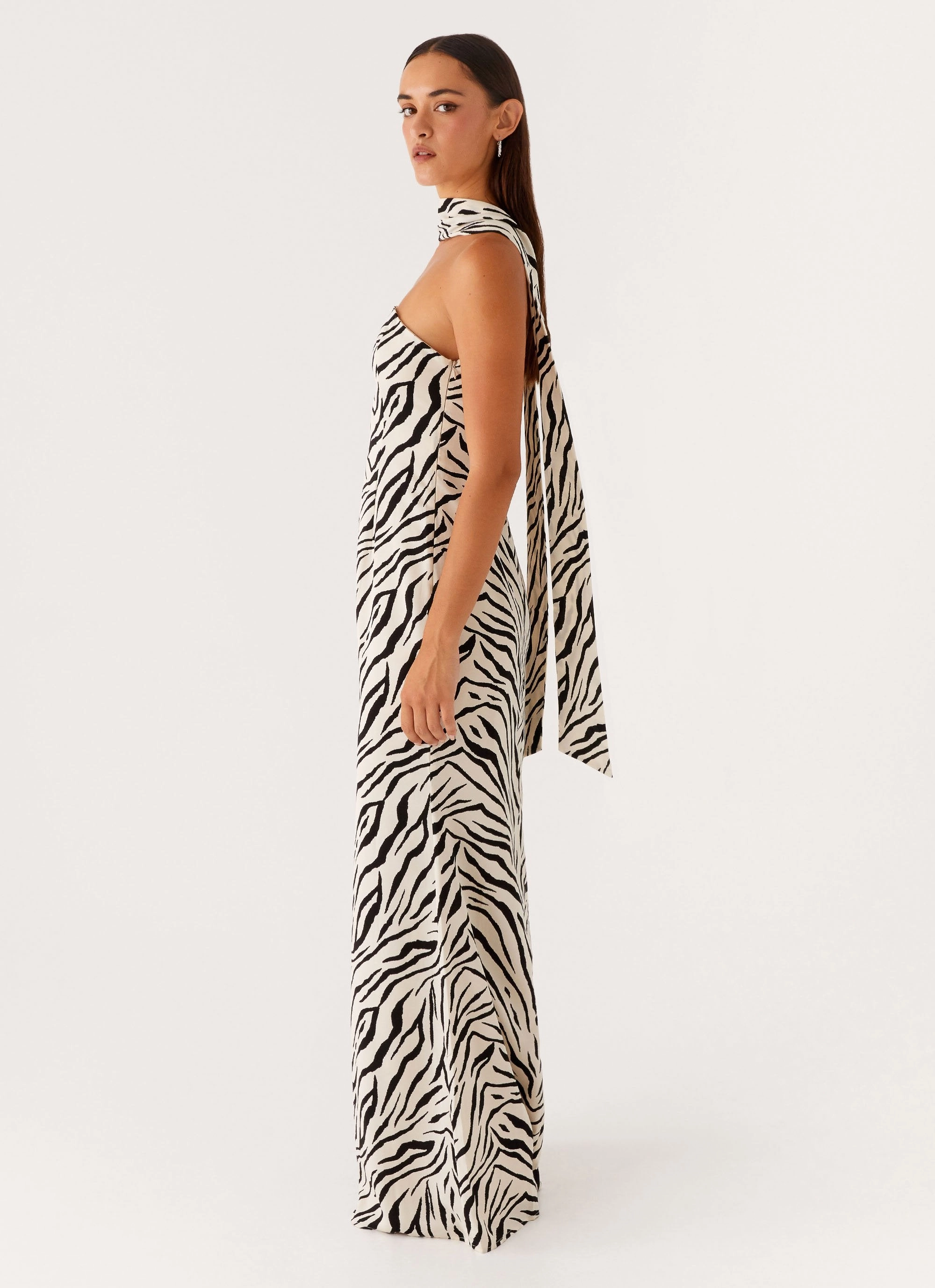 Jigsaw Strapless Maxi Dress - Zebra Cozy Energy